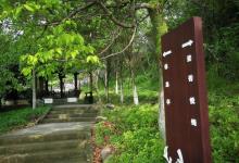 鹿山公园7
