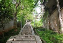 鹿山公园3