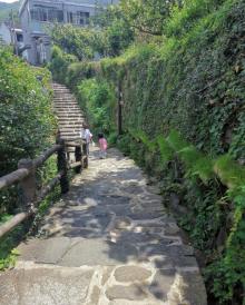 覆卮山冰川漂流6