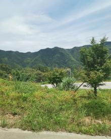 覆卮山冰川漂流7