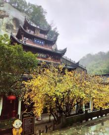 江南第一大佛3