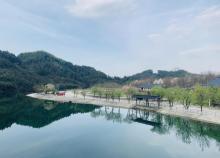 杨家寨2