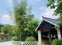杨家寨26