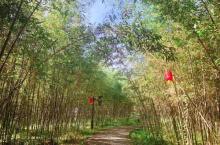 绿林谷景区12