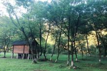绿林谷景区14