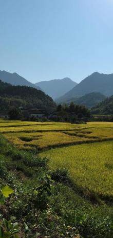 黄田风景区4