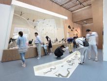 黄山市城市展示馆5
