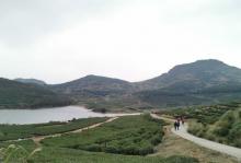 大嵛山岛11