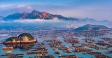 北岐滩涂29