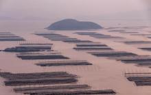 北岐滩涂1