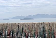 北岐滩涂20