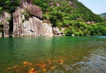 杨家溪12