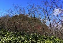 凤凰山公园3