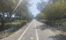 金龙湾公园1