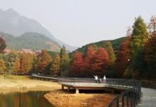 鹿田水库5