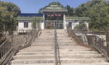 青春公园3