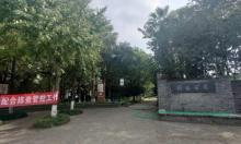 词林公园3