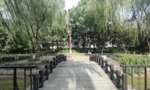 词林公园1