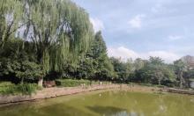 词林公园4