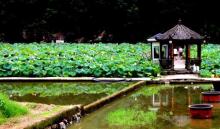 金鸡岩景区3