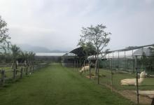 锦林佛手文化园8