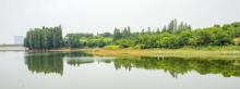金满湖公园2
