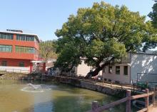 何斯路村3