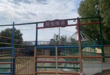 橡果果昆虫研学基地3