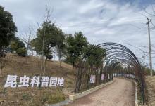 橡果果昆虫研学基地1