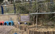 橡果果昆虫研学基地2