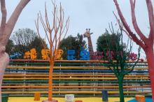 橡果果昆虫研学基地4
