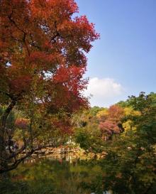 齐庐山风景区8