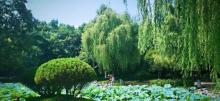 孝子祠公园4
