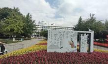 孝子祠公园2