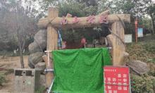 南山公园2