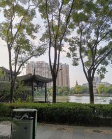 绣湖公园15