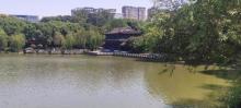 绣湖公园10