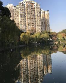 绣湖公园5