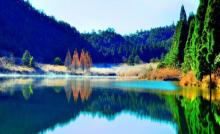 凤阳山自然保护区1