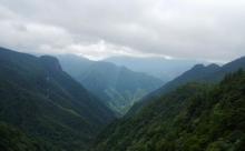 凤阳山自然保护区5