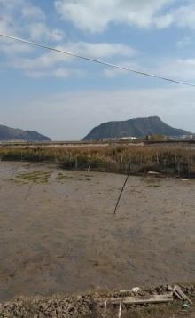 赤岸风景区2