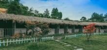 丁公园旅游村3