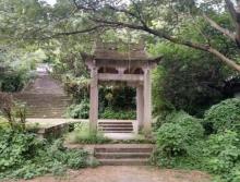 王士琦古墓5