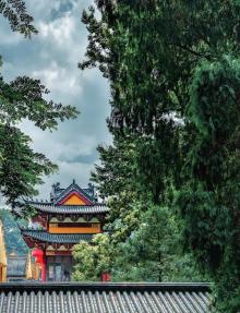温岭江厦森林公园3