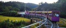 温岭田园牧歌旅游度假区9