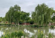 城东湿地3