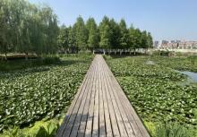 嘉兴麟湖湿地公园6