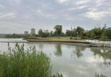 李湖中央公园2
