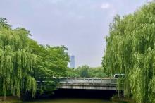 长中港公园5