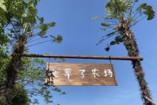 长草了农场3